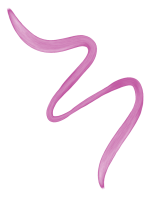 vlna3a-magenta